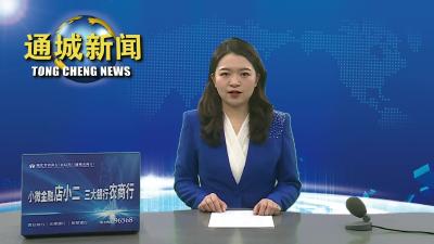 视频-【实干争先奋斗出彩 2023通城县“一把手”系列访谈⑧】马港镇：笃行不怠开新局 奋楫争先更出彩 续写新时代马港绚丽新篇章 