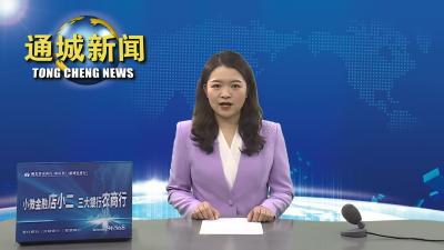 视频-【实干争先 奋斗出彩 2023通城县“一把手”系列访谈⑥】石南镇：以一域之光为全局添彩  奋力开创各项工作新局面 
