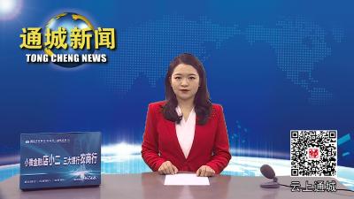 通城：“烟火气”和“文明风”同行  流动摊贩新增两处“家”