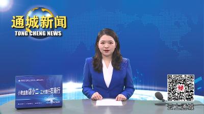 视频-张世伟在全市2023年国土绿化暨林长制工作现场推进会上要求：厚植绿色本底  夯实生态根基 