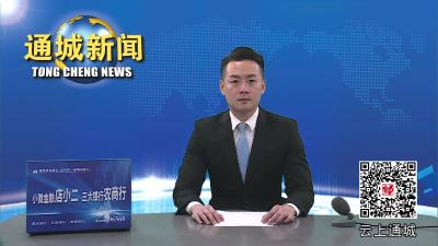 视频-通城：降首付降利率 房地产在售项目成交率上升 