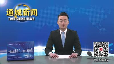 视频-【贯彻落实全县三级干部大会精神】通城县民政局：全面推进民政事业高质量发展 