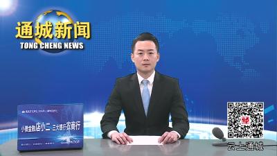 视频-【驻村一线党旗红②】省卫健委驻东港村工作队 “村事”当“家事” “驻村”更“助村” 