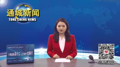 【盘点2022③】通城县城管执法局：推进城市精细化管理   全面提升城市品质