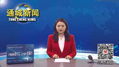 打造公园型绿色城市  通城又添新去处 隽水河湿地公园开园