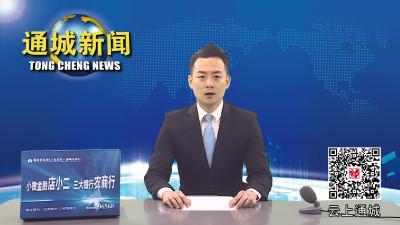视频-《盘点2022 ⑧》通城县市场监管局：推进食品安全共治共享 守稳筑牢食品安全防线 