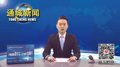通城县卫健局：构建县乡村三级联动医疗服务体系 满足人民群众就医需求