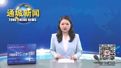 视频-弘扬雷锋精神！咸宁军分区来通城开展学雷锋活动 