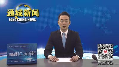 视频-【盘点2022⑨】通城县林业局：“逐绿”奋发推进国土绿化 打造绿色生态屏障 