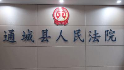视频-通城县不动产司法查控“高速路”开通啦！ 