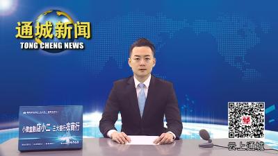 通城：全力攻坚 加快推进重大项目建设