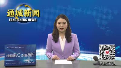 视频-【贯彻落实全县三级干部会议精神】隽水镇：强产业抓项目促招商 全力筑牢发展坚实底盘 