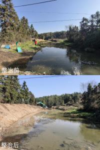 石南镇整治河滩菜地 还原水清岸美