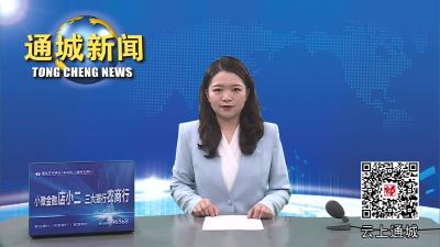 视频-【平安通城】县司法局开展“三八”女性社区矫正对象关爱帮扶活动
