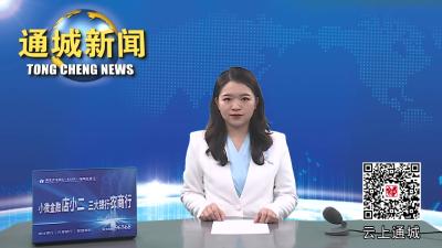 视频-通城县部署生态环境保护工作 