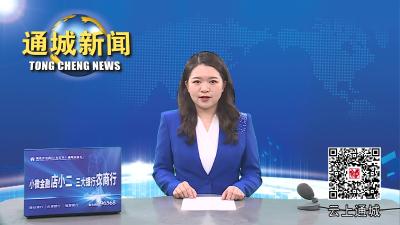 视频-【护航春耕生产】通城县农业农村局：放心农资下乡 保障春耕生产 