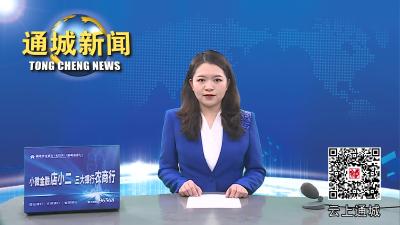云南省梁河县党政考察团来通城考察