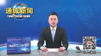 视频-通城县召开纪念“三八”国际妇女节113周年大会 
