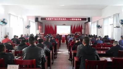 视频-马港镇学习贯彻党的二十大精神和二十届中纪委二次全会精神 