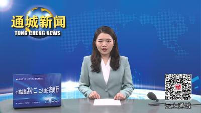 视频-通城县委农村工作领导小组暨巩固拓展脱贫攻坚成果同乡村振兴有效衔接会商会召开 