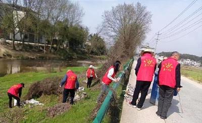 通城县大坪乡：整治人居环境 打造美丽乡村