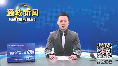 通城县举办2023年首场乡村振兴产业项目谋划擂台赛