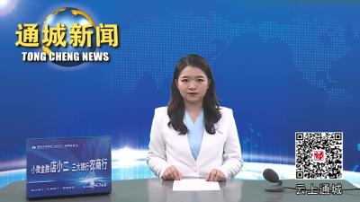 视频-2023年第3次通城县政府常务会召开 