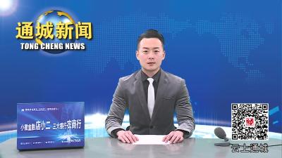 市政协来通城督导检查校园食品安全工作