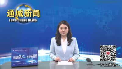 视频 通城县委常委会2023年第6次会议召开
