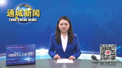 视频-【看通城·教育发展①】可容纳幼儿360余名！宝塔幼儿园加速建设 