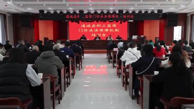 通城县医疗保障局举办业务知识培训 为干部职工“充电蓄能