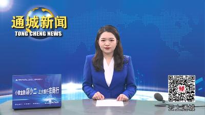 雷锋精神 代代相传 通城县教育中心送教下乡