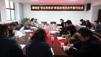 视频 通城县举行“创业担保贷”新型政银担合作签约仪式