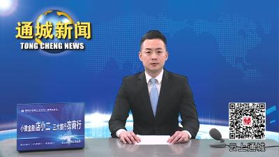 视频-2023年第2次通城县政府常务会召开