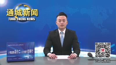 视频-春风唤新绿！通城县组织开展春季义务植树活动