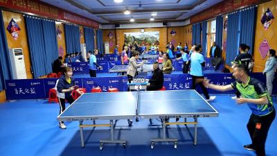 2023年通城县“食药安全杯”乒乓球比赛开幕