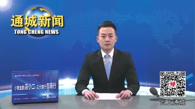 王昌友来通城调研国土绿化和油茶产业发展工作