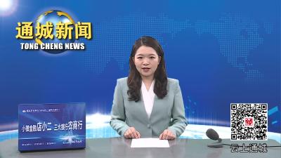视频-通城县领导督办2022年省重点项目建设工作 