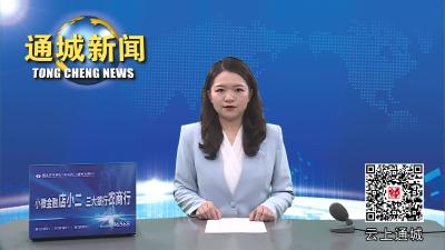 视频-【营商环境看通城】停车位设置有问题？通城“12345”现场办公！  
