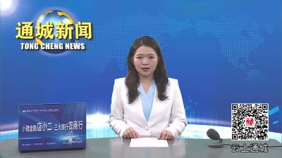 视频-杨修伟带案下访 化解信访突出问题 