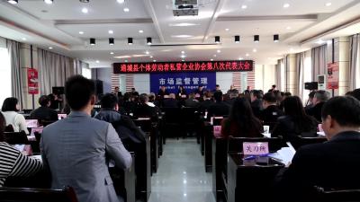 视频-【营商环境看通城】通城县个体劳动者私营企业协会成功换届 