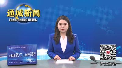 视频-【森林防火警钟长鸣①】发现一起、查处一起！通城警方严打失火违法犯罪