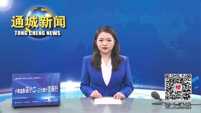 胡华林：发挥自身人脉资源  带动更多优质企业投资通城