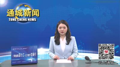视频 通城县领导督查学校食品安全“两个责任”工作落实情况