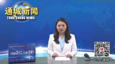 视频-春装上市 商场春意盎然 