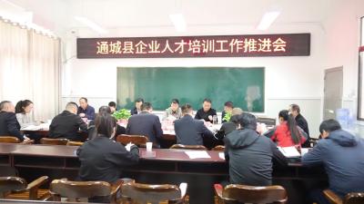 视频 通城企业人才培训班计划在本月底开班