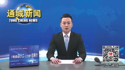 视频-全县防汛抗旱暨河湖长制工作联席会议召开