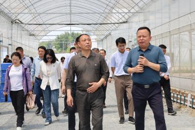 市委党校主体班来通城调研