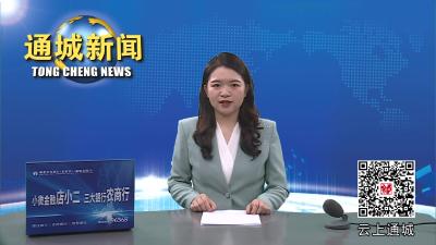 视频-健康生活 快乐奔跑—通城县第四届微型马拉松赛开跑 