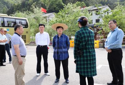 县领导调研全县乡村旅游“万千百”工程示范点建设暨农村人居环境整治工作